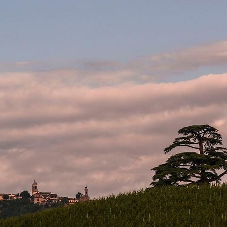 Villa Goccia Di Vino La Morra Ngoại thất bức ảnh
