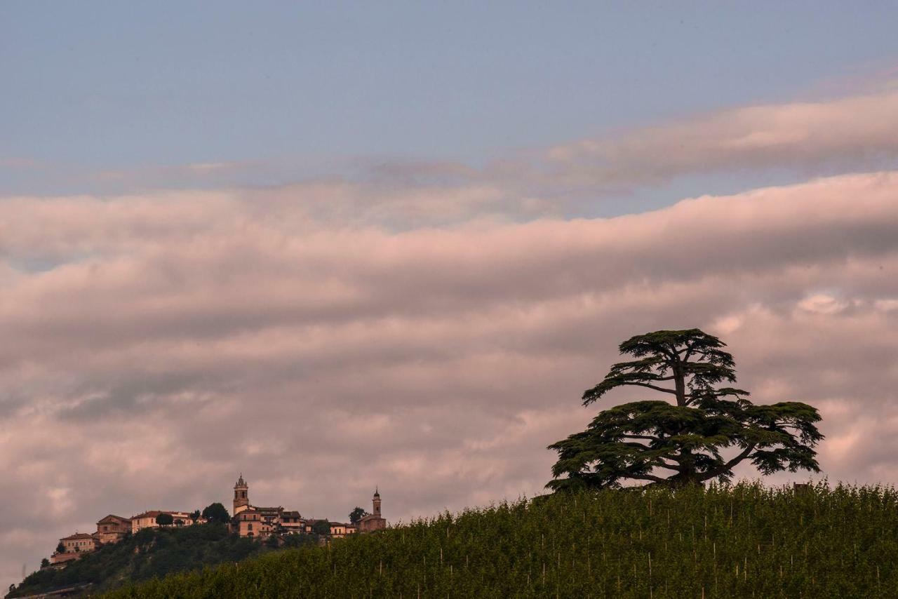 Villa Goccia Di Vino La Morra Ngoại thất bức ảnh